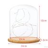 Cloche With Suspended LED Lights Tabletop Lamp Wedding Holiday Decor Crafts