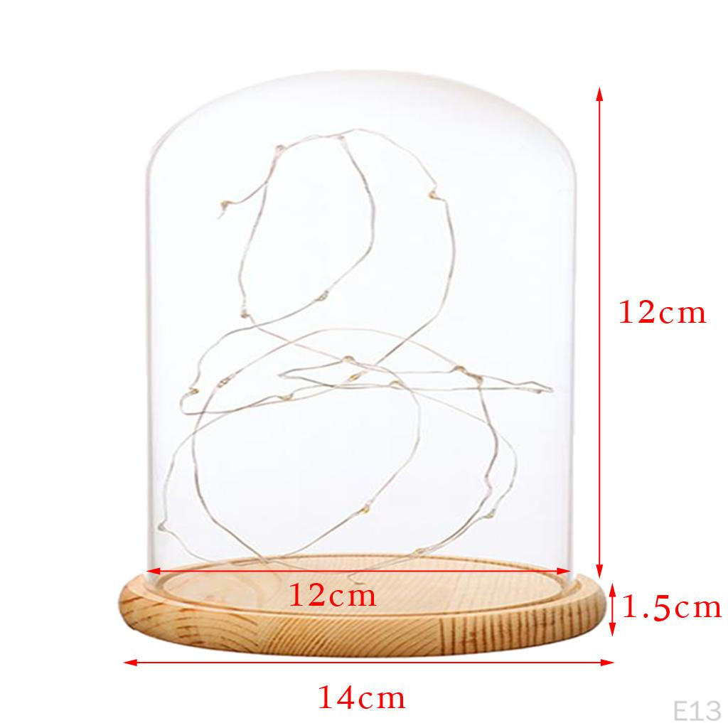 Cloche With Suspended LED Lights Tabletop Lamp Wedding Holiday Decor Crafts