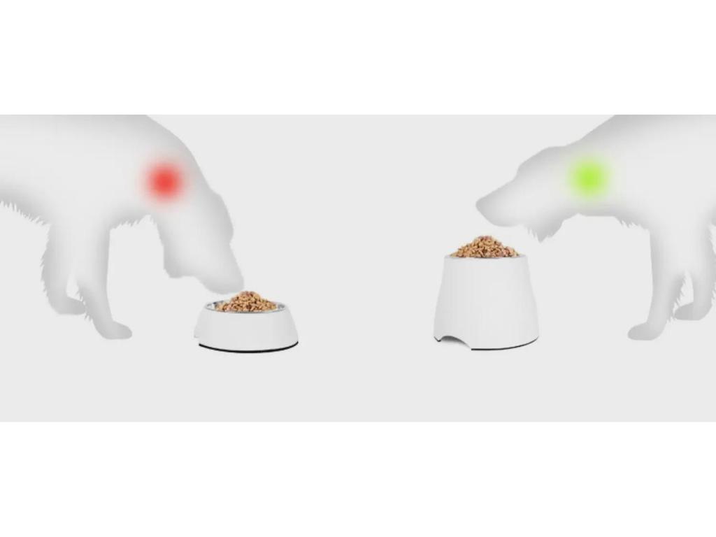 Hupu Anti-Tip Dog Bowl: Protects Cervical Vertebrae for Large Dogs