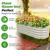 17 Tall Outdoor Garden Raised Bed Kit 5ft X 2ft Oval Cream White Metal Planter for Flowers Herbs Vegetables 0.8MM Thick 60X24X1