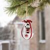 Christmas Airplane with Hanging Ornament for Holiday Outdoor Mailbox
