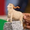 Schleich Farm World Angora Goat 13970 (Male)