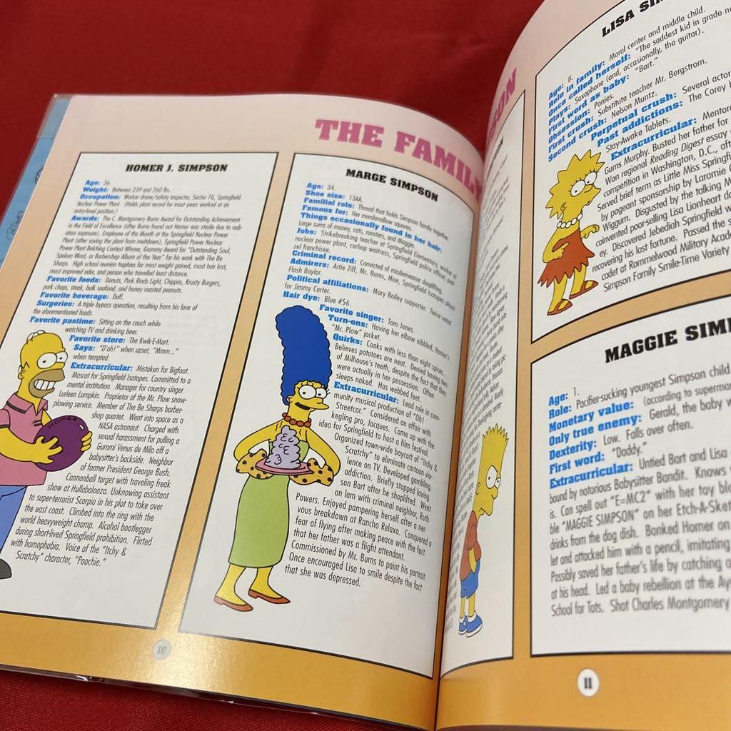 [USED] The Simpsons Guidebook Seasons 1-8 (English version)