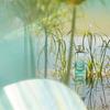 Hermès - Eau De Toilette A Garden On the Nile 50 Ml - 