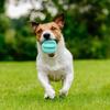 Custom BPA-Free Natural Rubber Dog Chew Ball Toy-Durable Molar Teeth Cleaning for Aggressive Chewers Exercise Boredom Buster