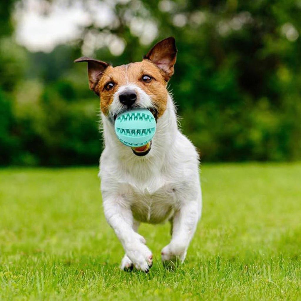 Custom BPA-Free Natural Rubber Dog Chew Ball Toy-Durable Molar Teeth Cleaning for Aggressive Chewers Exercise Boredom Buster