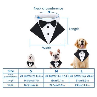 Giyim ve ayakkabı – Köpek Aksesuarları