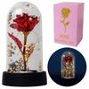 Eternal Rose In LED Glass