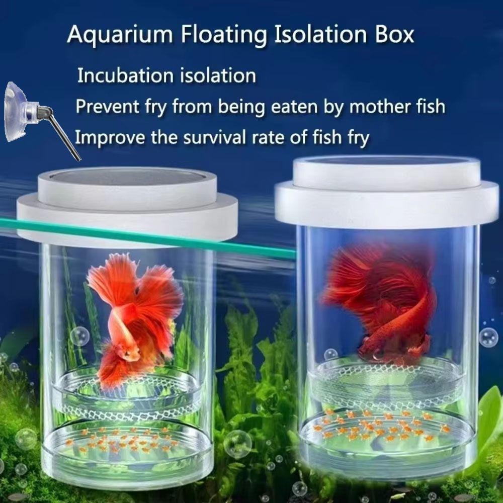 2Pcs Transparent Aquarium Hatchery Accessories Detachable Aquarium Breeder Feeder  Guppy Breeding