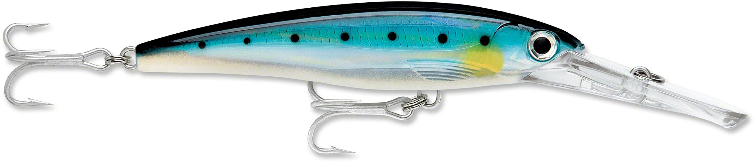Rapala Magnum Sardine Lure X-Rap Minnow, 18cm, 97g, (BSRD) XR40MAG-BSRD