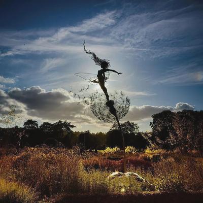 Dandelion and Flower Fairy Wire Garden Ornaments