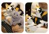 Cute Kitten Plush Pillow Doll - Small Floral Comfort Toy for Kids