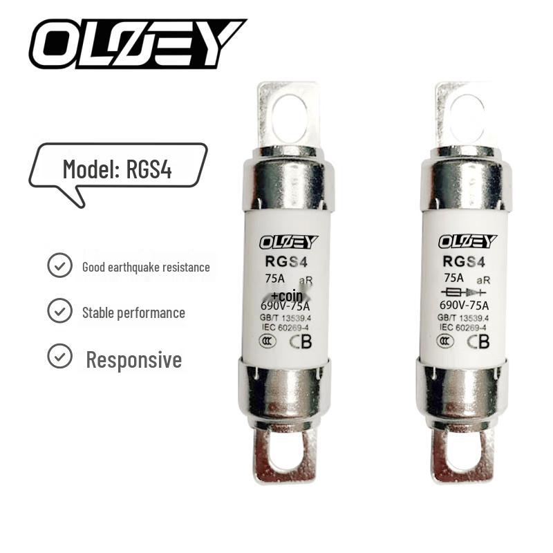 OLOEY RGS4 690V 75A Snelwerkende Zekering