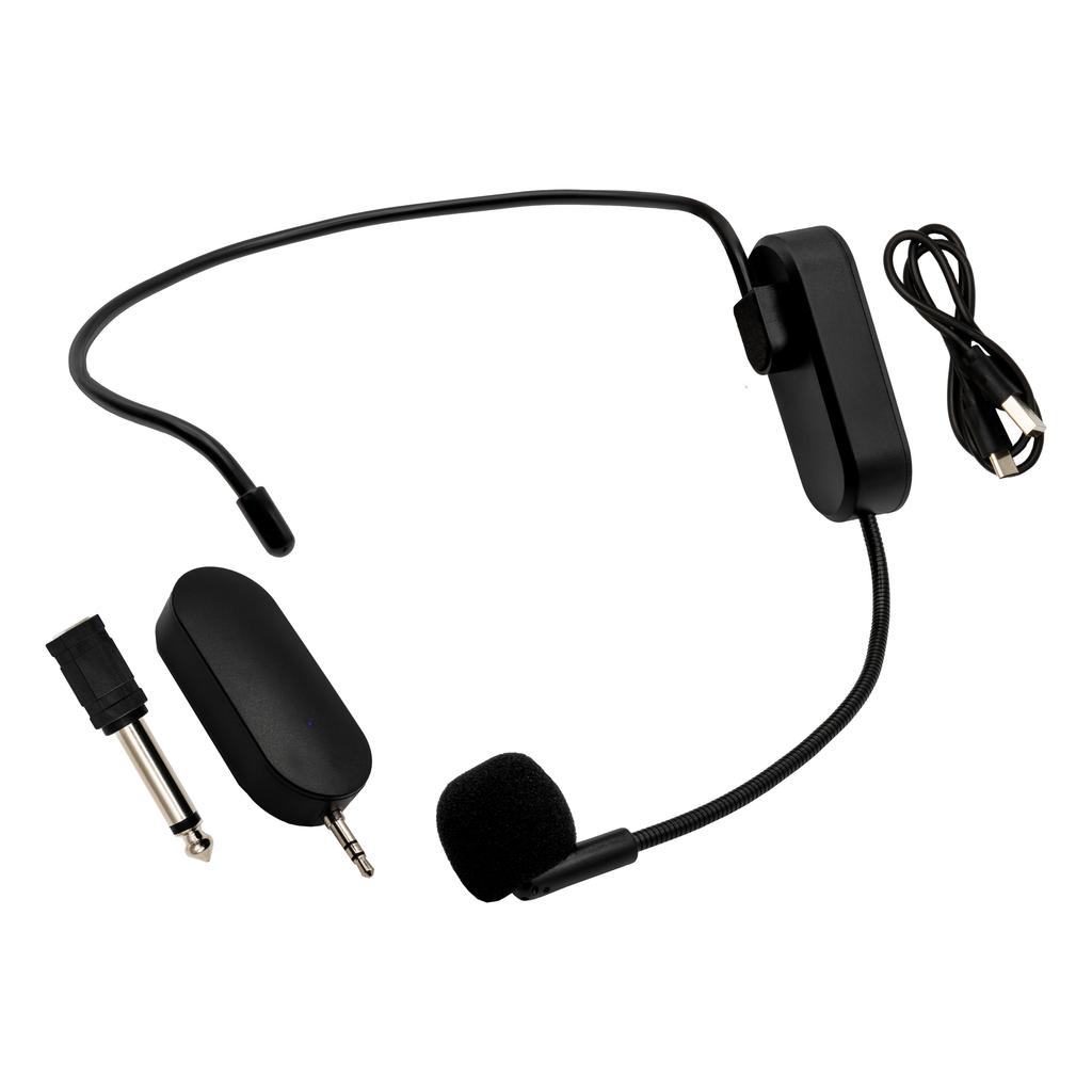 MusicMate MM-700 EchoDual Wireless Microphone System