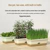 Thickened Double Layer Plastic Planting Pot with Trellis for Balcony Vegetables