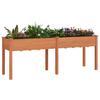 vidaXL Pflanzkübel mit Einsatz Braun 203x53x76 cm Massivholz Tanne