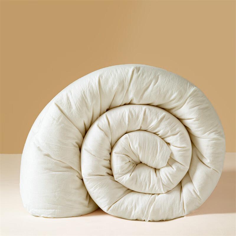 Brangdy Winter Soybean Fiber Duvet Insert