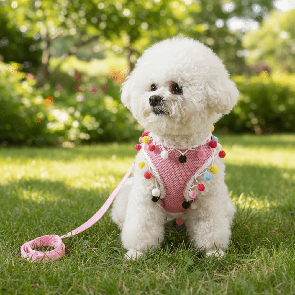Colorful Ball Pet Harness Leash Adjustable Pet Walking Rope Durable Dog Harness Vest  Daily Use