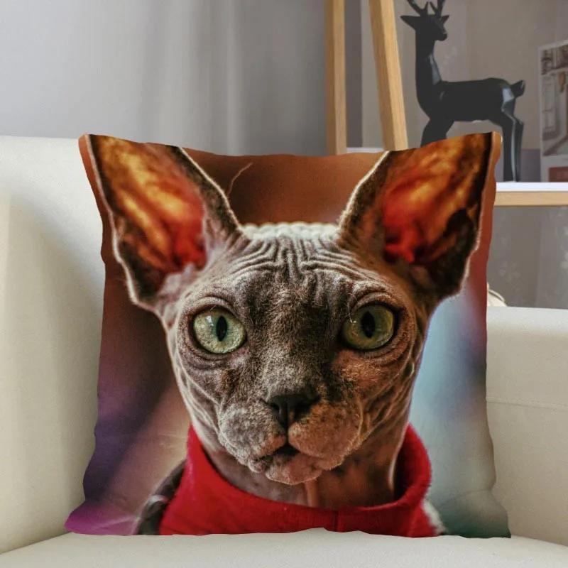 Musife Custom Sphynx Cat Pillowcase Home Decoration 45x45cm Zipper Square Pillowcase Throw Pillow Cover Drop Shipping 04.24