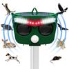 Rabieru Ultrasonic Animal Repellent for and Rodents Pest Cat Crow and Mole Repellent with Ultrasonic LED Solar USB 6 Repellent Bear Cat Fox Snake and
