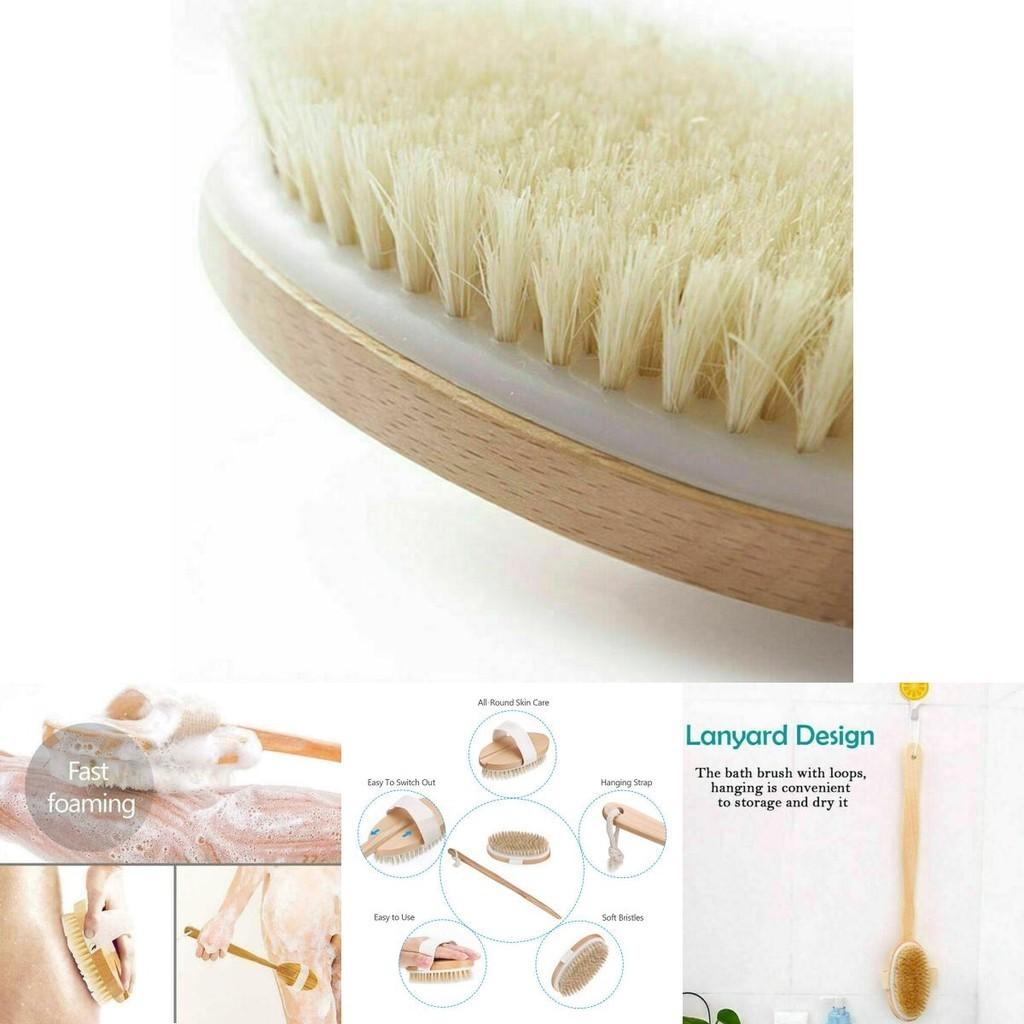 Durable Wooden Long Handled Body Brush Perfect For Dry Skin Brushing And Exfoliation