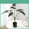 Planta Artificial Estilo Folha de Alocasia Odora com Cesta Artesanal Para Decoração de Casa