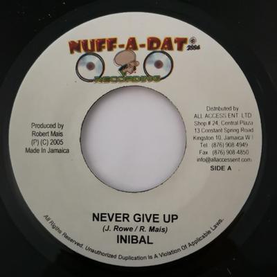 7-Zoll-Schallplatte INIBAL / BASCOM X - Never Give Up / Beautiful World NONE Nuff-A-Dat Reco 2005 Jamaika Reggae, Ska & Dub Gebraucht