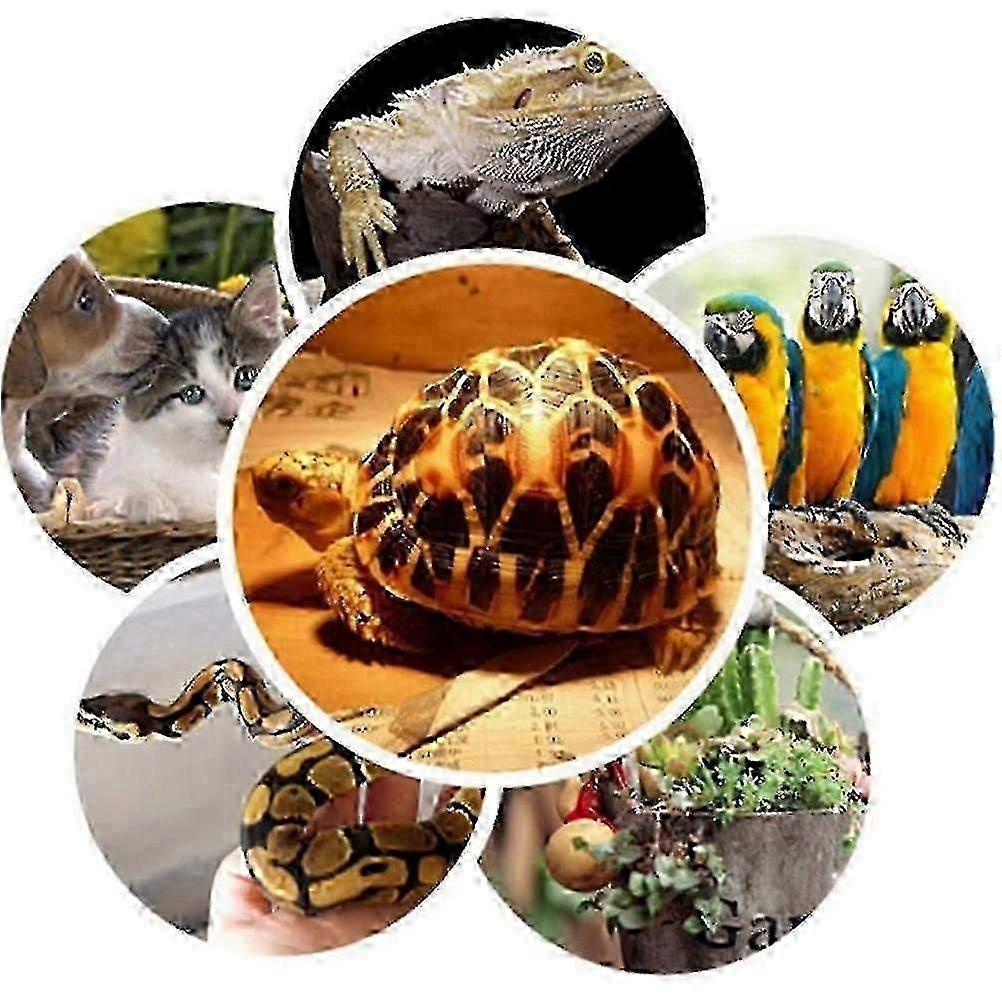 Lampada Riscaldante Per Uccelli E Rettili - Scaldino Ceramico Infrarosso Per Animali Domestici da 50w per l'Inverno