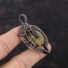 Fruit Jasper Pendant Copper Wire Wrapped Pendant Handmade Copper Jewelry Gemstone Pendant Wire Wrapped Fruit Jasper Jewelry Engagement Gift