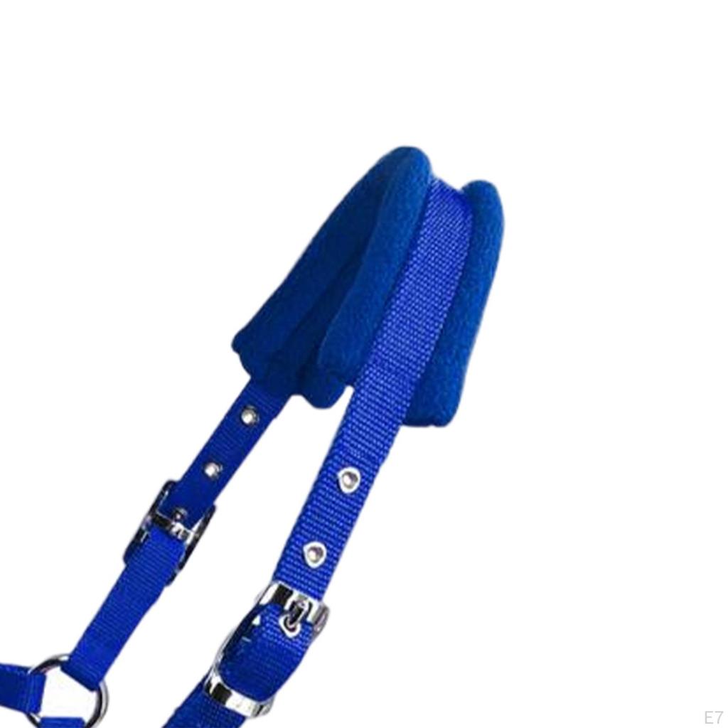 Durable Horse Bridle Rein Halter Headstall Thickened Equestrian Accessories Adjustable Harness