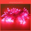 LED Lichterkette für festliche Innendekoration mit wasserdichtem Design und manuellem Schalter