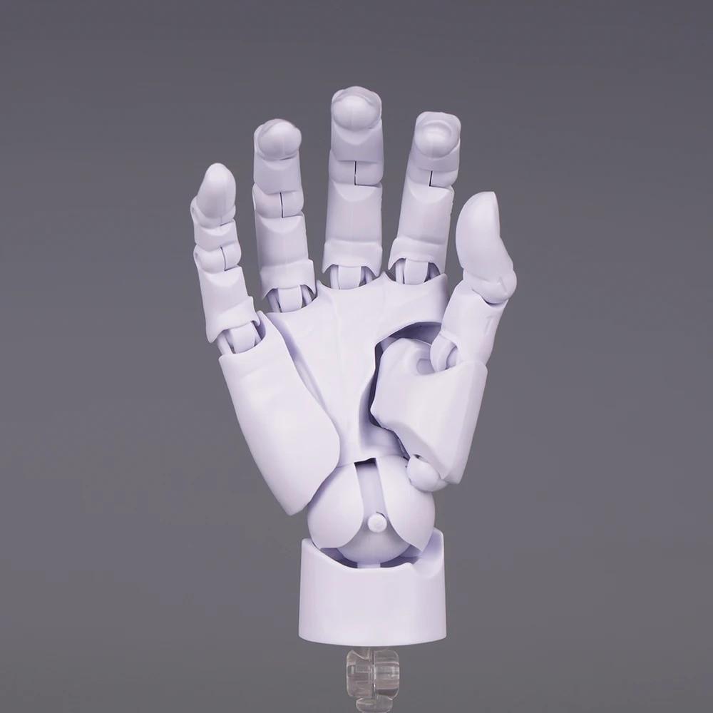 1:2 Scale Human Hand Model Mini Size Twisted Egg Design Palm Model With Posable Fingers Movable Joints Simulation Palm