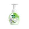 Lime Scent Foam Antibacterial Hand Wash, 2 X 250ml