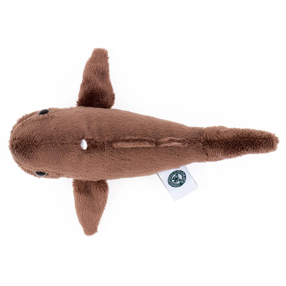 COLORATA Megamouth Shark Plush Mascot (Realistic Deep-Sea Creaturewith Chain) Keychain Doll Gift (Twice Tested)  Christmas Present