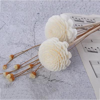Deko & Wohnaccessoires