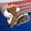 Mini Squirrel Plush Toy Decorations Oversized Tail Squirrel Ornament Keychain