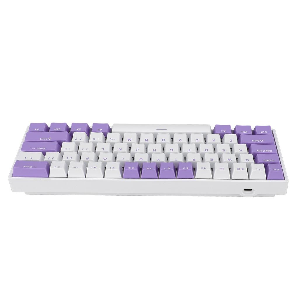 61 Keys 60percent  Mechanical Keyboard USB C Wired RGB Lighting Backlit Red Switch Gaming Keyboard for PC