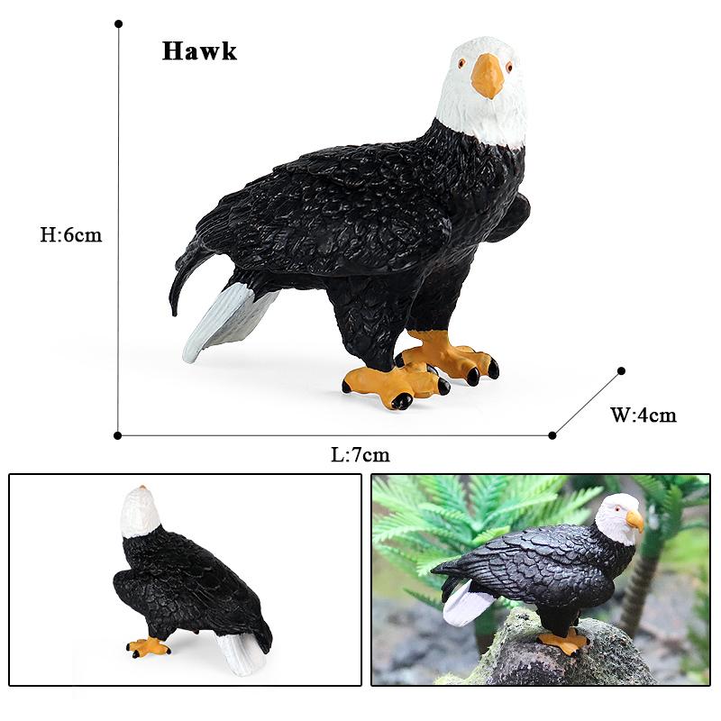 Oenux Wild Bird Animals Forest Night Eagle Condor Figurines PVC Action Figure Garden Decoration Education Miniature Toy Kid Gift