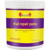 Ausbond Wall Repair Putty Paste