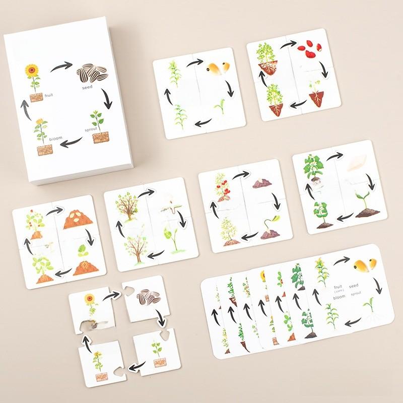 

Wooden Insect Growth Cycle Puzzle For Early Education And Cognitive Development Plant