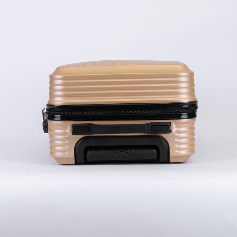 Shijiang 20-inch PC Hardside Spinner Luggage