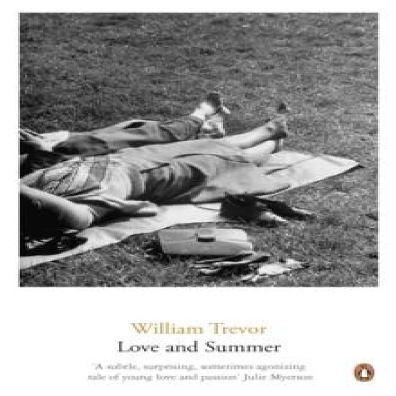 Love and Summer by William Trevor Paperback Book 9780141042190