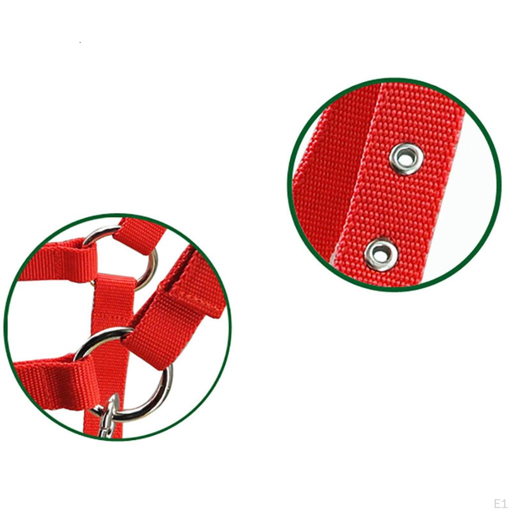 Durable Horse Bridle Rein Halter Headstall Thickened Equestrian Accessories Adjustable Harness