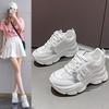 Mesh Breathable Thick-soled Dad Shoes 22 New Spring and Summer Heightening and Showing Small Leisure Sports