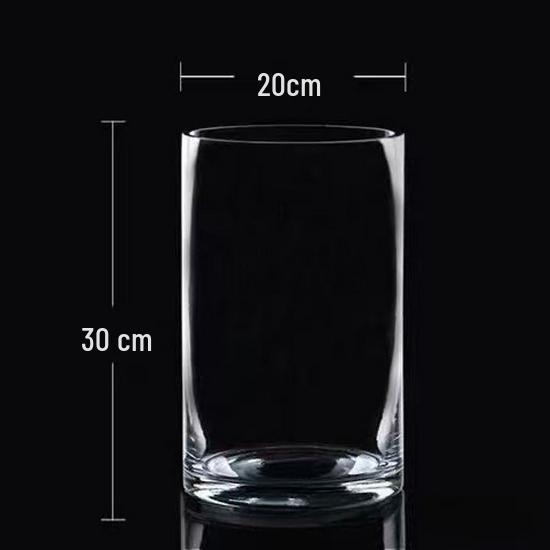 Transparent Glass Flower Vase & Hydroponic Container - Floor Ornament
