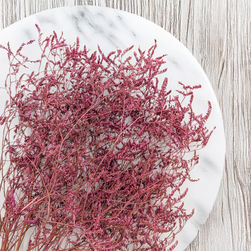 Zatrwian Szerokolistny Essiccato - Limonium Latifolium - Colorato - Rosa