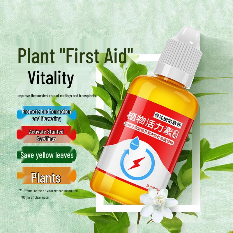 

Концентрат для роста и жизненной силы растений: Универсальный порошок для укоренения и питательный раствор для цветов, суккулентов и зеленых растений 1 bottle