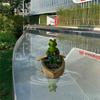 Artistic Floating Turtles Frogs Boating Weather Resistant Decoration Suitable For Fish Pools Yard And Desktop Displays