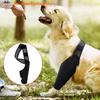 Ginocchiere per cani Recupero da infortuni Supporto fisso Tutore Protettore per animali Sollievo dal dolore Copertura per piedi Supporto avvolgente per articolazione della gamba Recupero dell'animale domestico