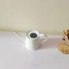 Long Spouts Watering Can Iron Without Splashes Light weight Body Effortlessly Pouring For Potted Plant Gardeners